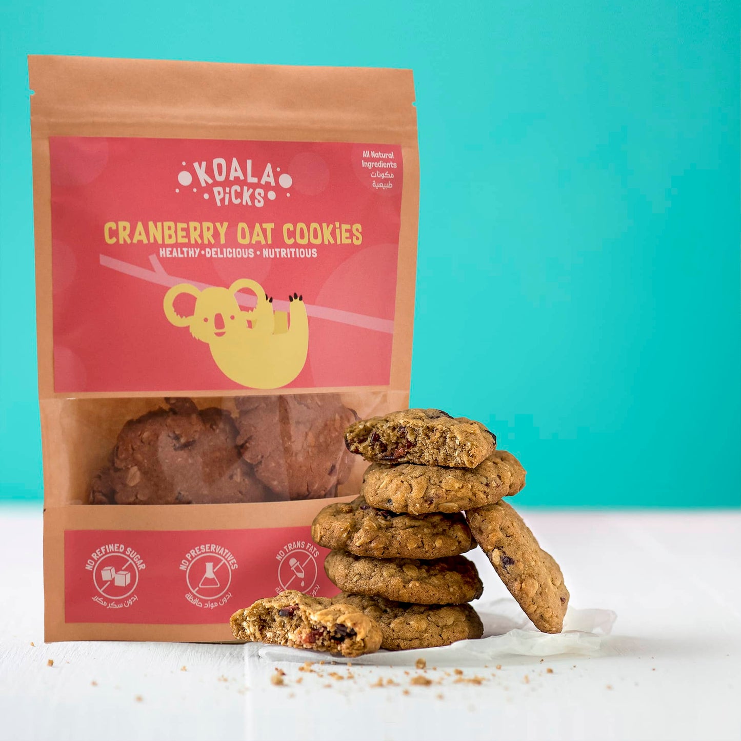 Cranberry Oat Cookies (9pcs)