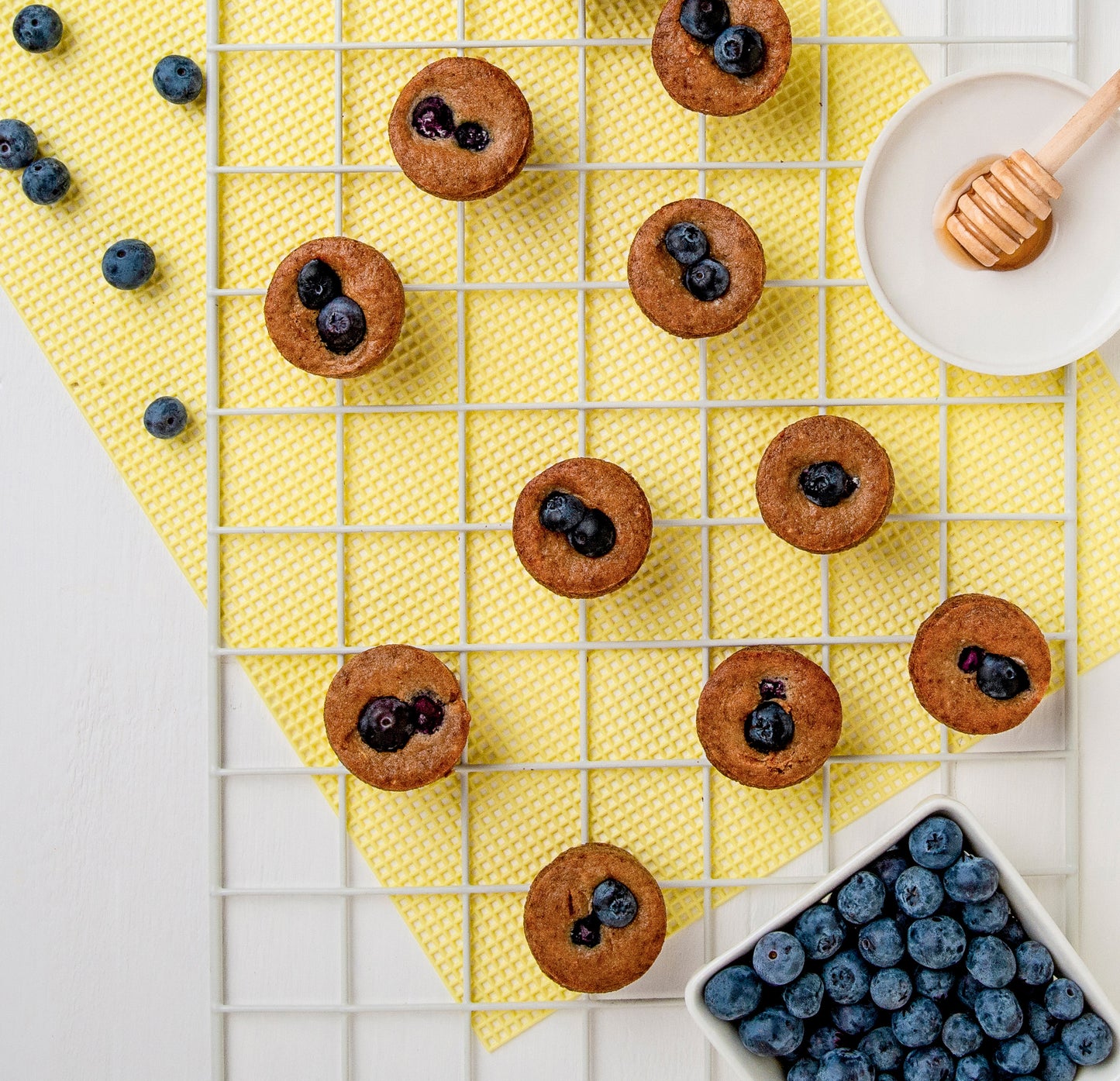 Blueberry Muffins